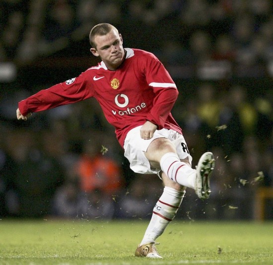 泰拉恰诺的 泰拉恰诺的